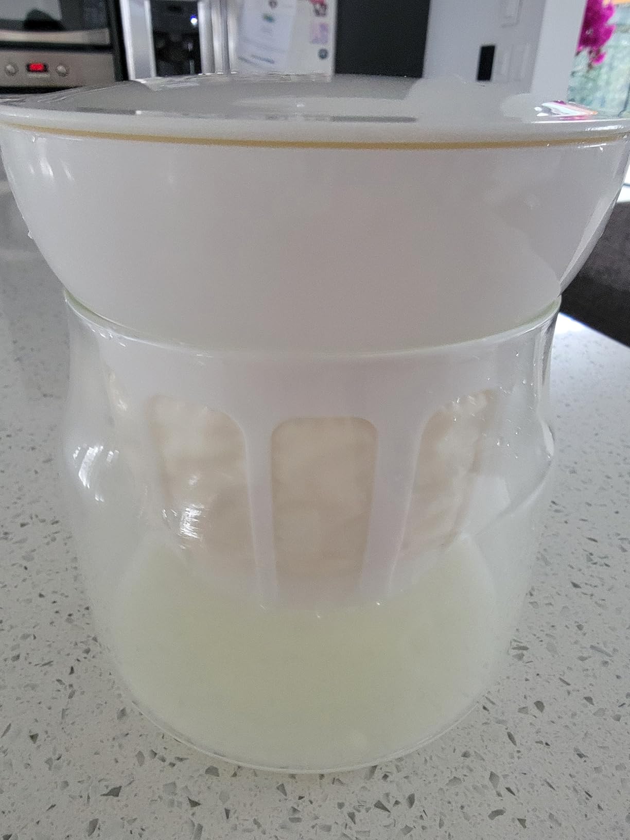 Bear Yogurt Maker, Greek Yogurt Maker Machine with Strainer&Timer Control customer photo 2