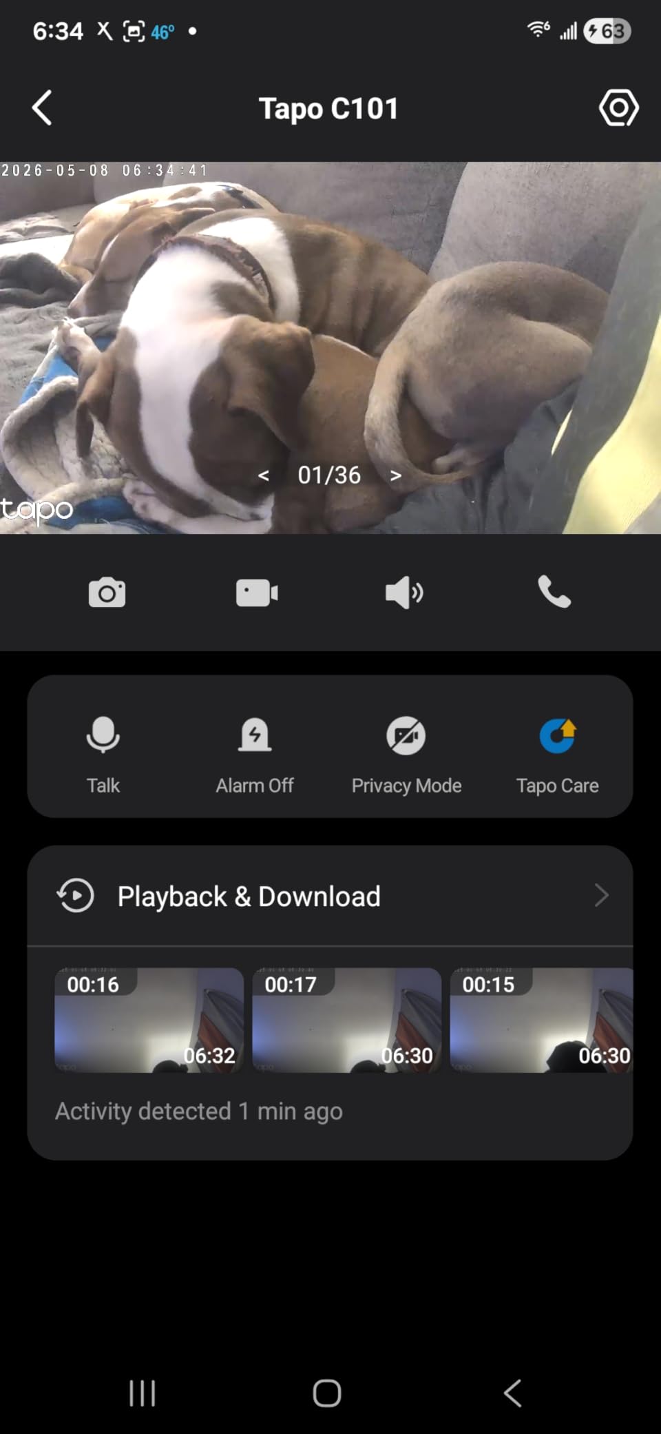 TP-Link Tapo 1080P Indoor Security Camera for Baby Monitor, Dog Camera w/Motion Detection, 2-Way Audio Siren, Night Vision, Cloud & SD Card Storage, Works w/Alexa & Google Home (Tapo C100) customer photo 1