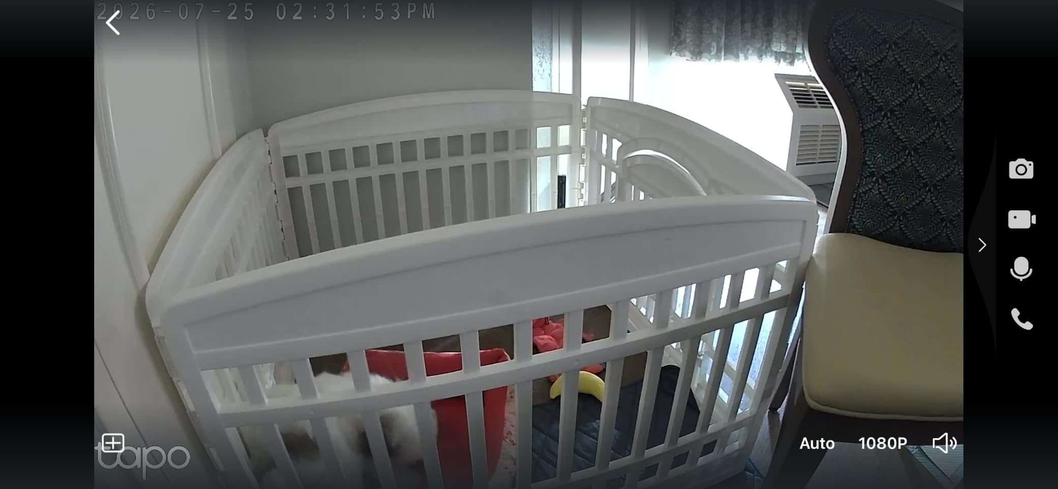 TP-Link Tapo 1080P Indoor Security Camera for Baby Monitor, Dog Camera w/Motion Detection, 2-Way Audio Siren, Night Vision, Cloud & SD Card Storage, Works w/Alexa & Google Home (Tapo C100) customer photo 2