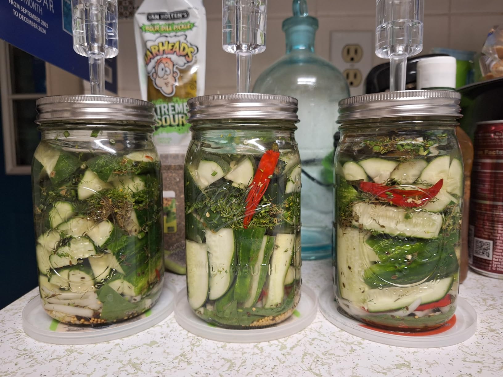 Fermentation Lids, 6 Set Fermentation Kit for Wide Mouth Jars, 6 Stainless Steel Fermenting Lids with 6 Silicone Grommets, 6 Airlocks, 6 Silicone Rings(Jars Not Included) customer photo 1