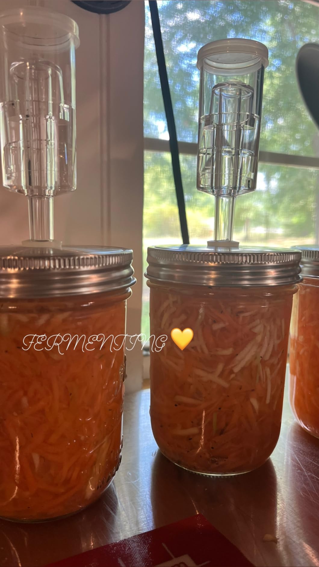 Fermentation Lids, 6 Set Fermentation Kit for Wide Mouth Jars, 6 Stainless Steel Fermenting Lids with 6 Silicone Grommets, 6 Airlocks, 6 Silicone Rings(Jars Not Included) customer photo 2