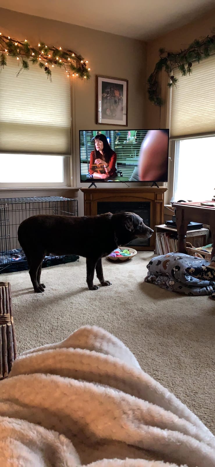 Hisense 50-Inch Class R6090G Roku 4K UHD Smart TV with Alexa Compatibility (50R6090G, 2020 Model) customer photo 2