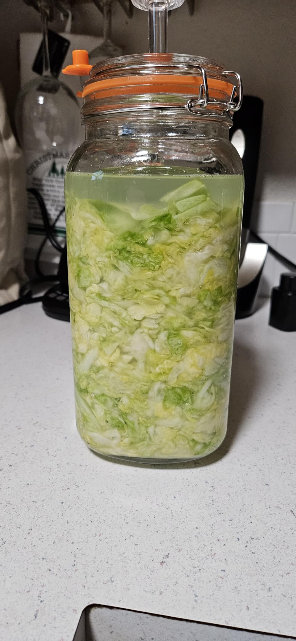JILLMO 2L Wide Mouth Fermentation Jar with Airlock & Weight, 2 Pack customer photo 1