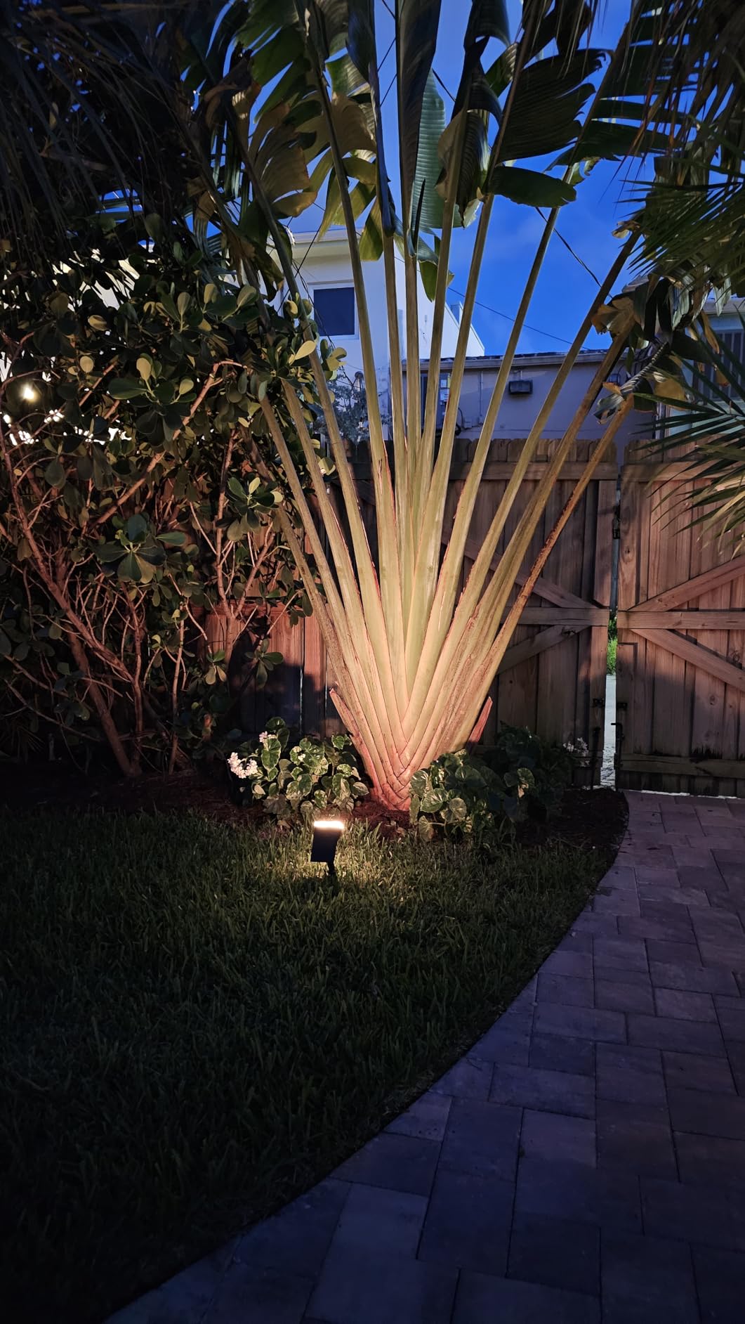 Linkind Halloween Solar Lights Outdoor Spotlight Waterproof RGB 2 Pack | Starray, 9 Color Changing Modes, Multicolor, Dusk to Dawn, for Yard Garden Patio Tree Pathway Holiday Christmas Decorations customer photo 2