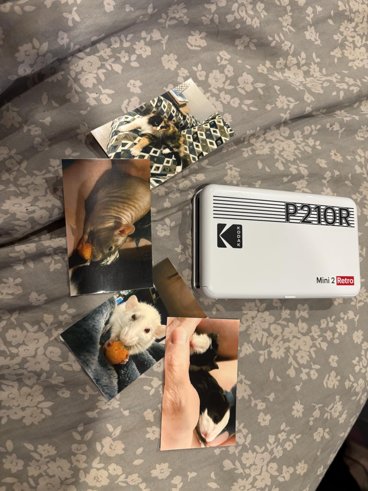 KODAK Mini 2 Retro 2x3 Portable Photo Printer, 4PASS, 38 Sheets, White customer photo 1