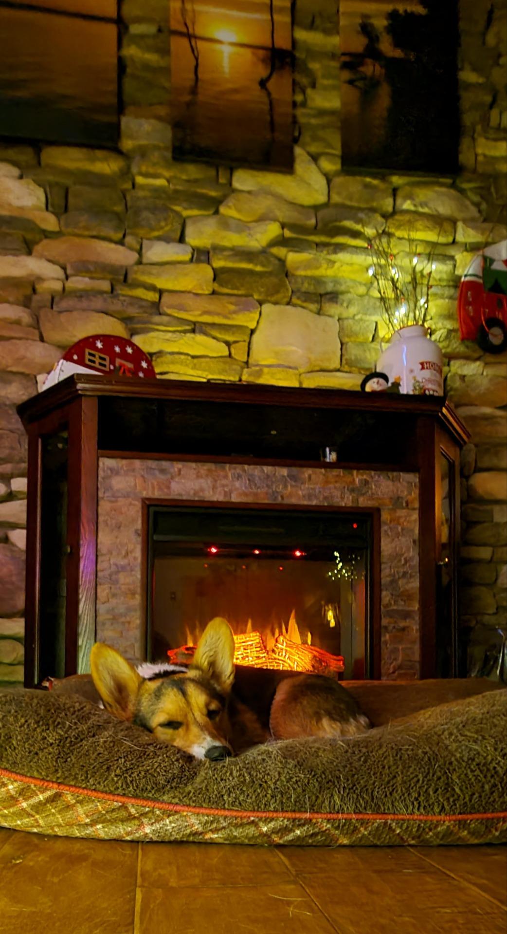 SEI Furniture - Redden Corner-Convertible Electric Fireplace with Touch Screen - Espresso - Transitional Design, Brown Glass and Wood - Ideal for Living Room, Bedroom (FR9392) customer photo 2