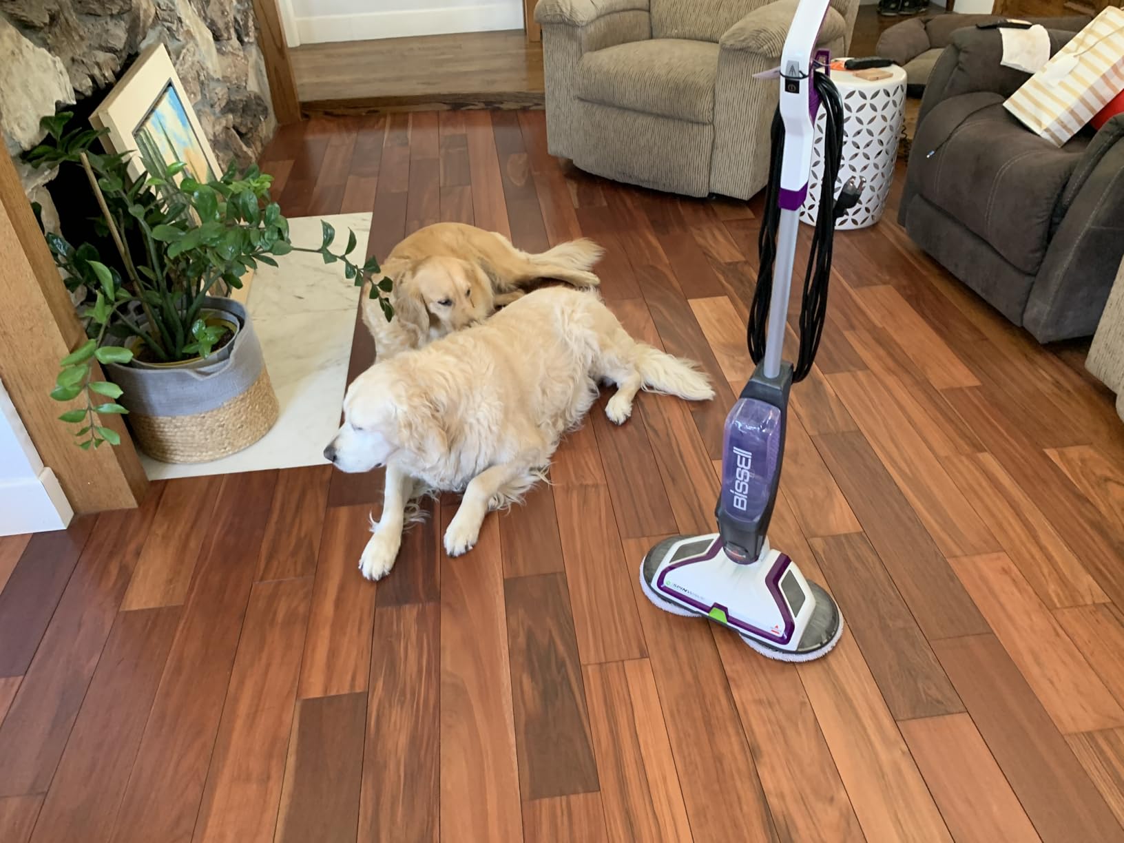 BISSELL SpinWave Pet Hard Floor Corded Spin Mop, 20399 customer photo 1