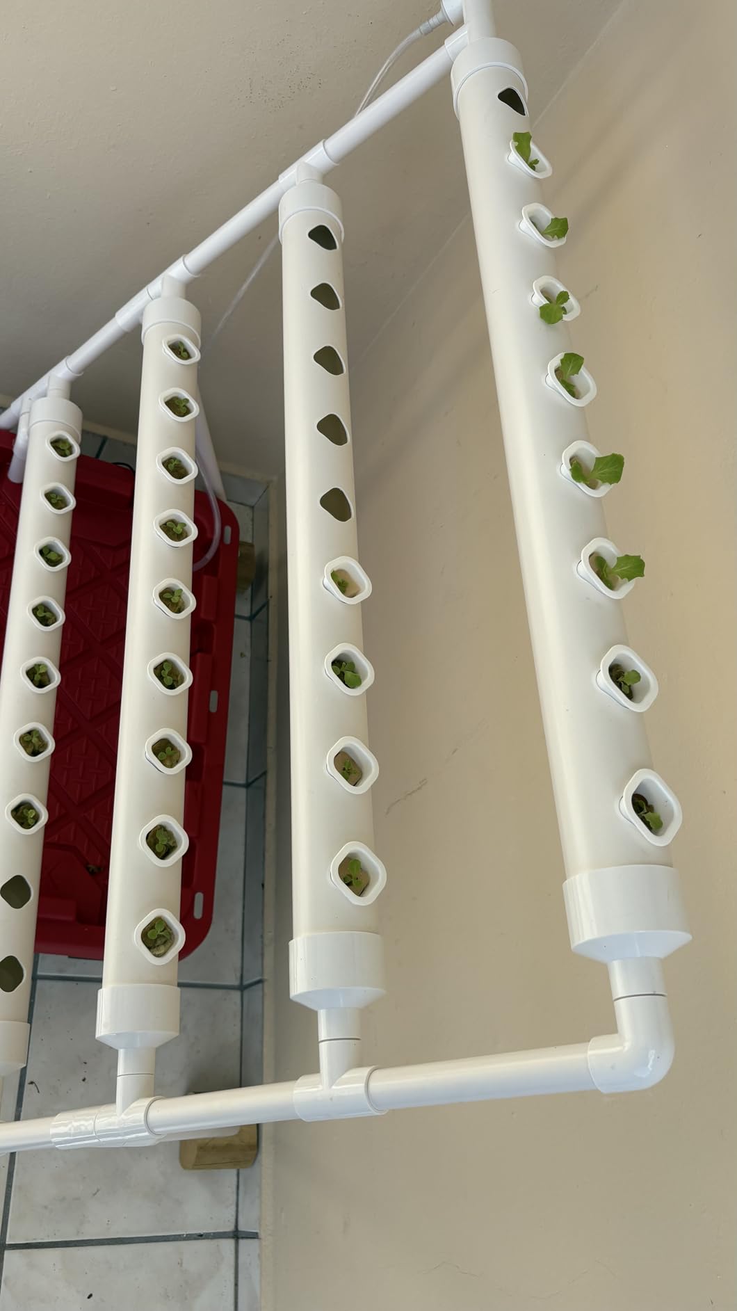 Hydroponics Growing System Kit 36 Plant Sites Food-Grade PVC-U Pipes Hydroponic Grow Kit Gardening System for Vegetables,Fruits,Herb customer photo 1