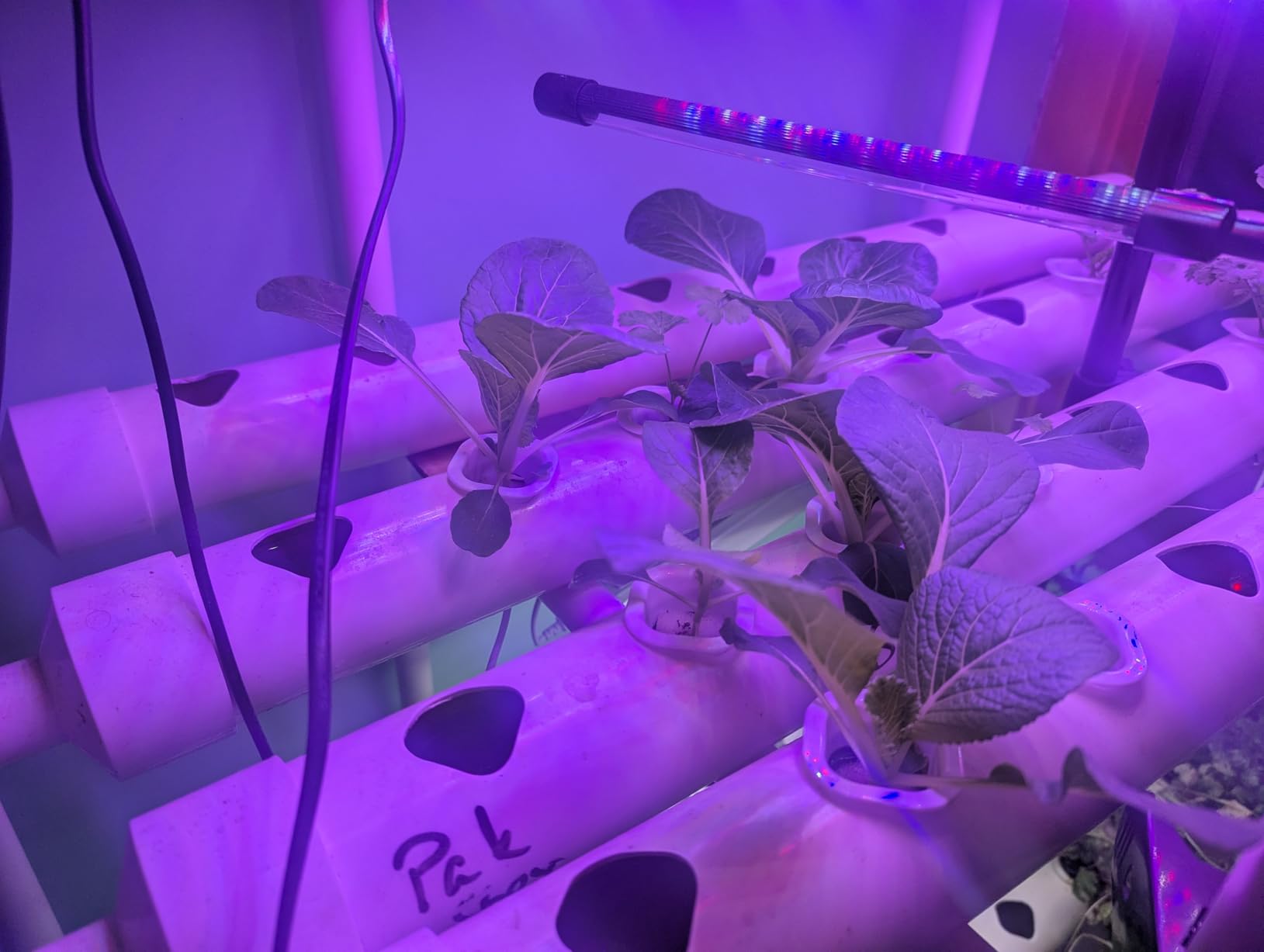 Hydroponics Growing System Kit 36 Plant Sites Food-Grade PVC-U Pipes Hydroponic Grow Kit Gardening System for Vegetables,Fruits,Herb customer photo 2
