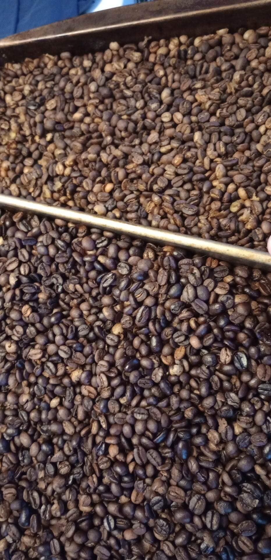 500g Coffee Bean Roaster Machine with Timer, 110V customer photo 2