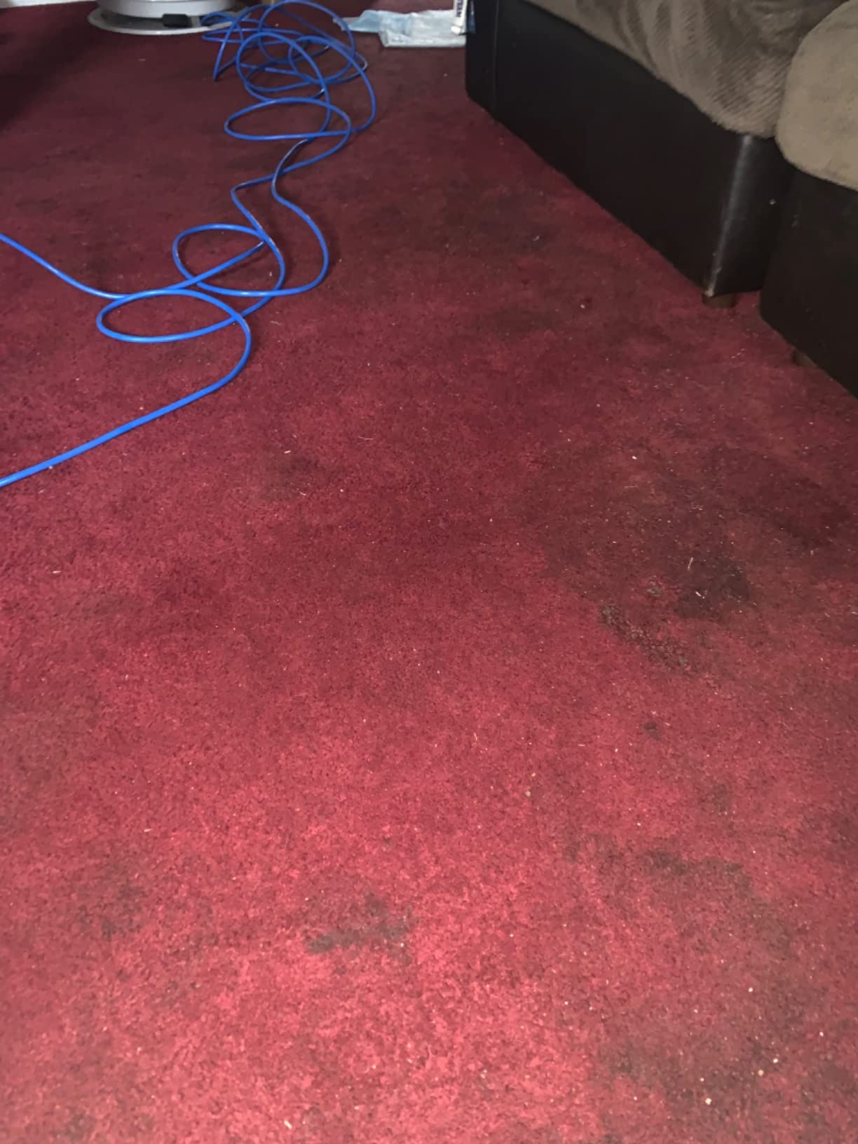 Prolux Core Heavy Duty 15 inch Floor Buffer Scrubber and Polisher Cleaning Machine - All floor surfaces customer photo 2