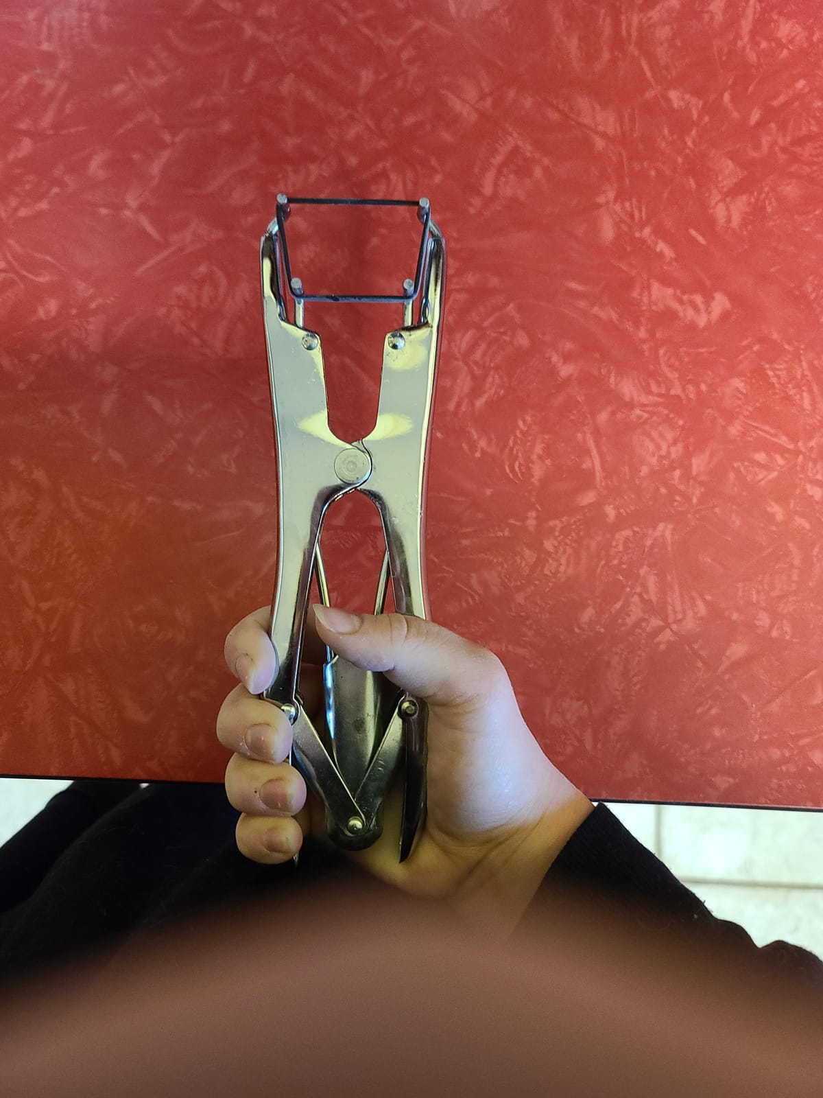 ELASTRATOR Heavy Duty Tool Bander Pliers for Goats Lambs Calves Veterinary customer photo 1