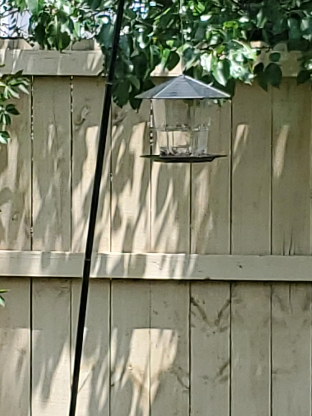 Jealoeur Bird Feeders for Outdoors Hanging Bird Feeder Wild Birds Seed, Black customer photo 1