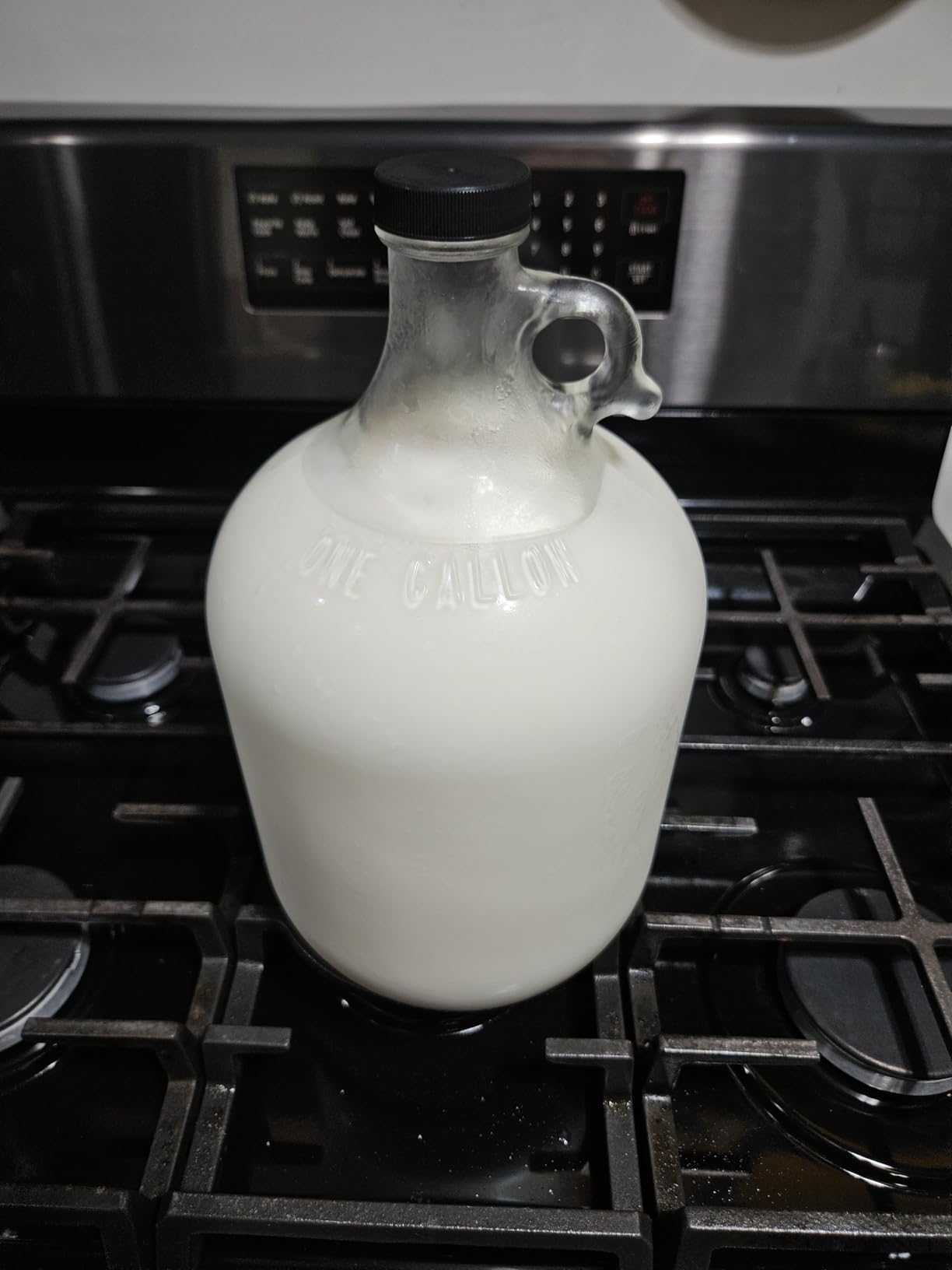 North Mountain Supply 1 Gallon Glass Fermenting Jug with Handle & Airlock customer photo 2