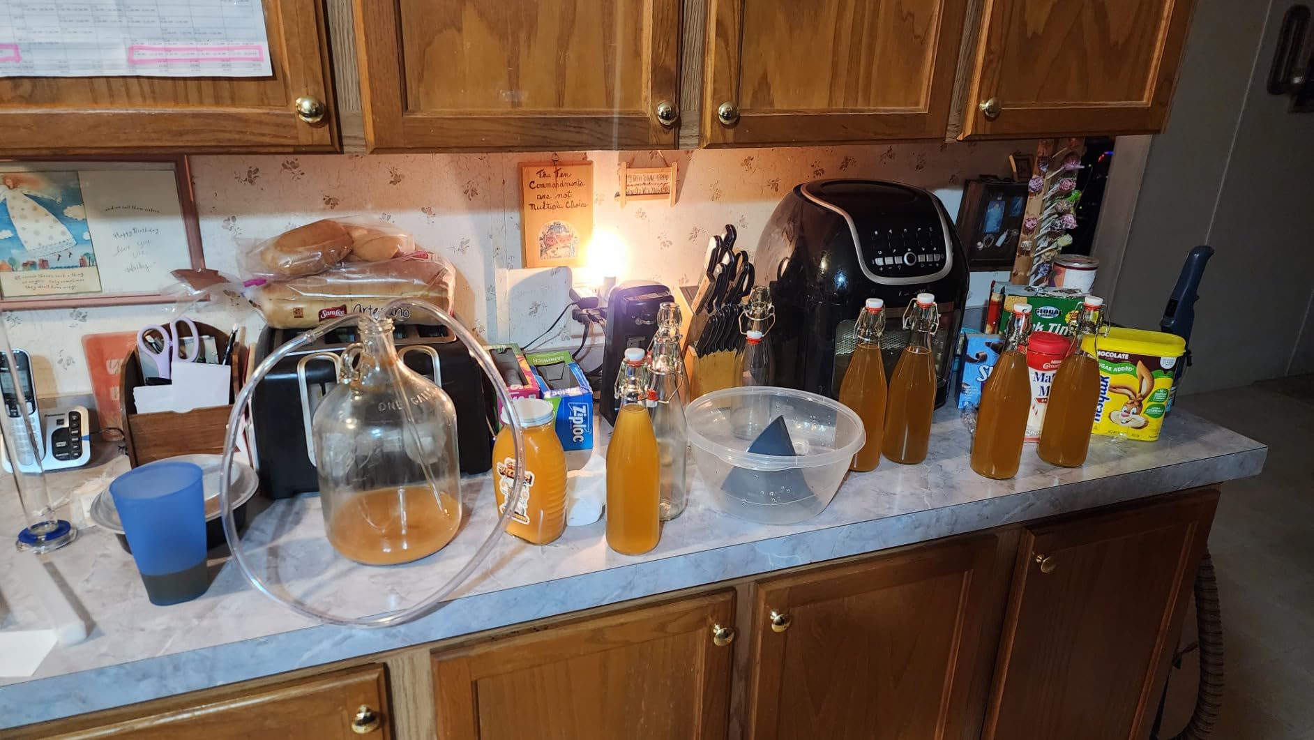 Craft A Brew - Mead Making Kit – Reusable Make Your Own Mead Kit – Yields 1 Gallon of Mead customer photo 1