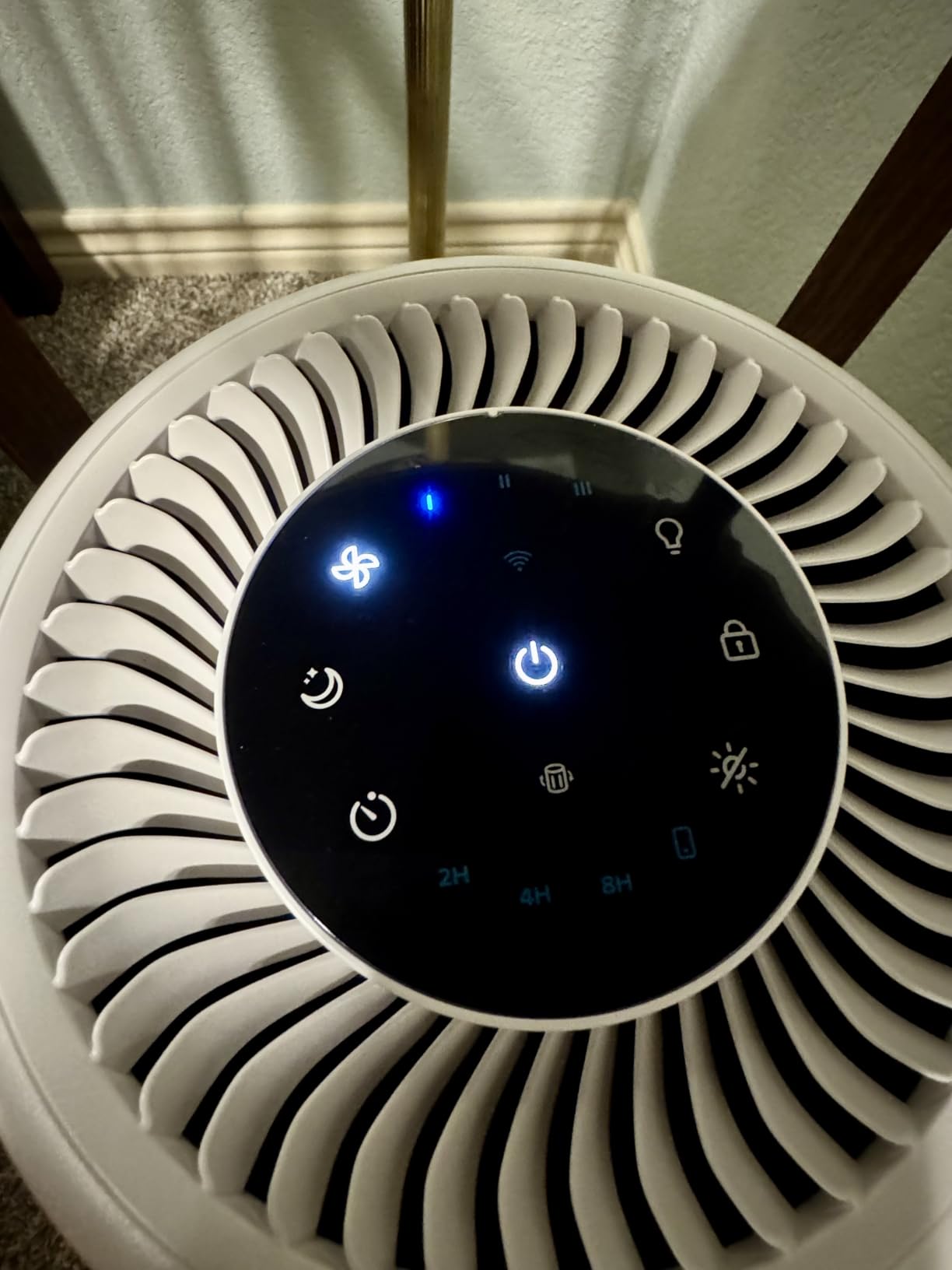 Levoit Air Purifier for Home Pets Bedroom Dorm Room, Smart & Voice Control | AHAM VERIFIDE, 3-in-1 Filter With HEPA Sleep Mode, for Pollen, Pollutants, Smoke, Dander, Dust, Pet Hair, Core 200S-P, Black customer photo 2
