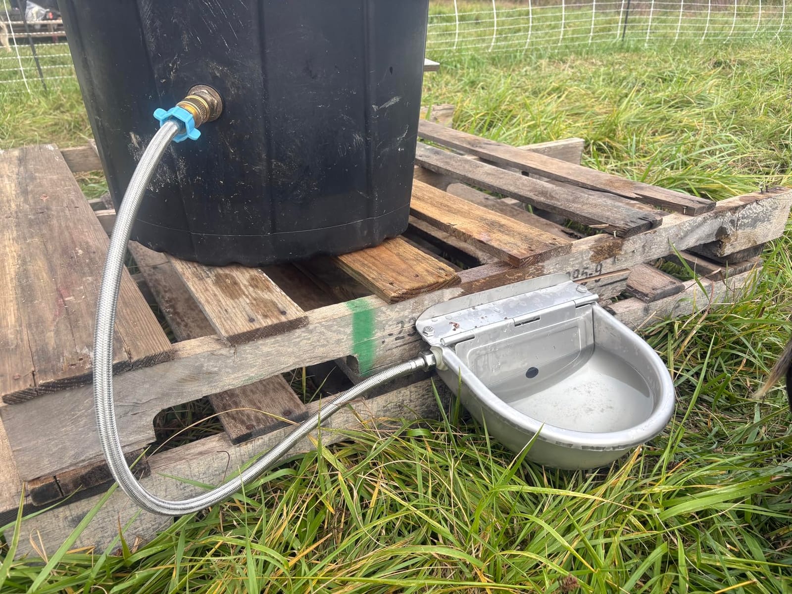 Ademon Automatic Animal Drinking Water Bowl with Float Valve, Standard Pipe,3L Stainless Steel Waterer Feeder Farm Dog Dispenser Kit Self Filling for Livestock Horse Goat Water Trough customer photo 1