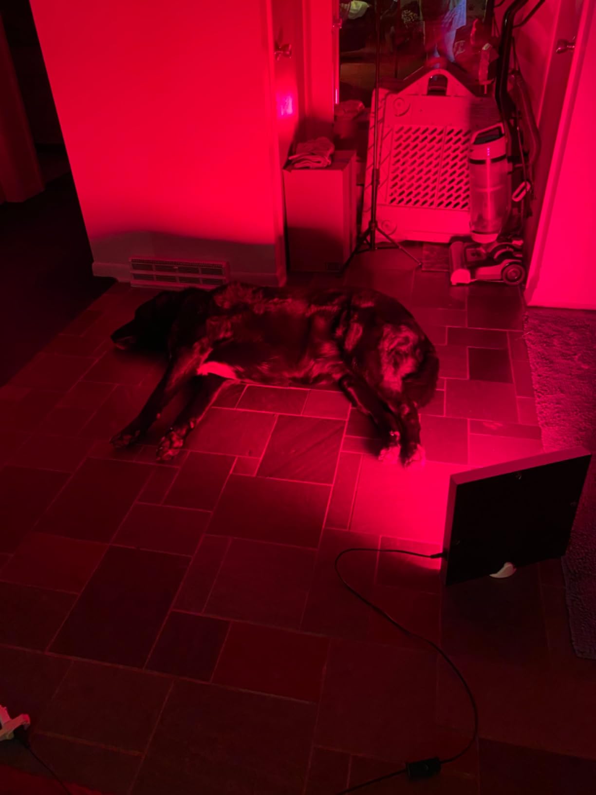 LED-Red-Light-Therapy-Device - 45W LED Panel Deep 660nm and Near-Infrared 850nm Light Combo for Skin Beauty, Pain Relief of Muscles and Joints customer photo 1