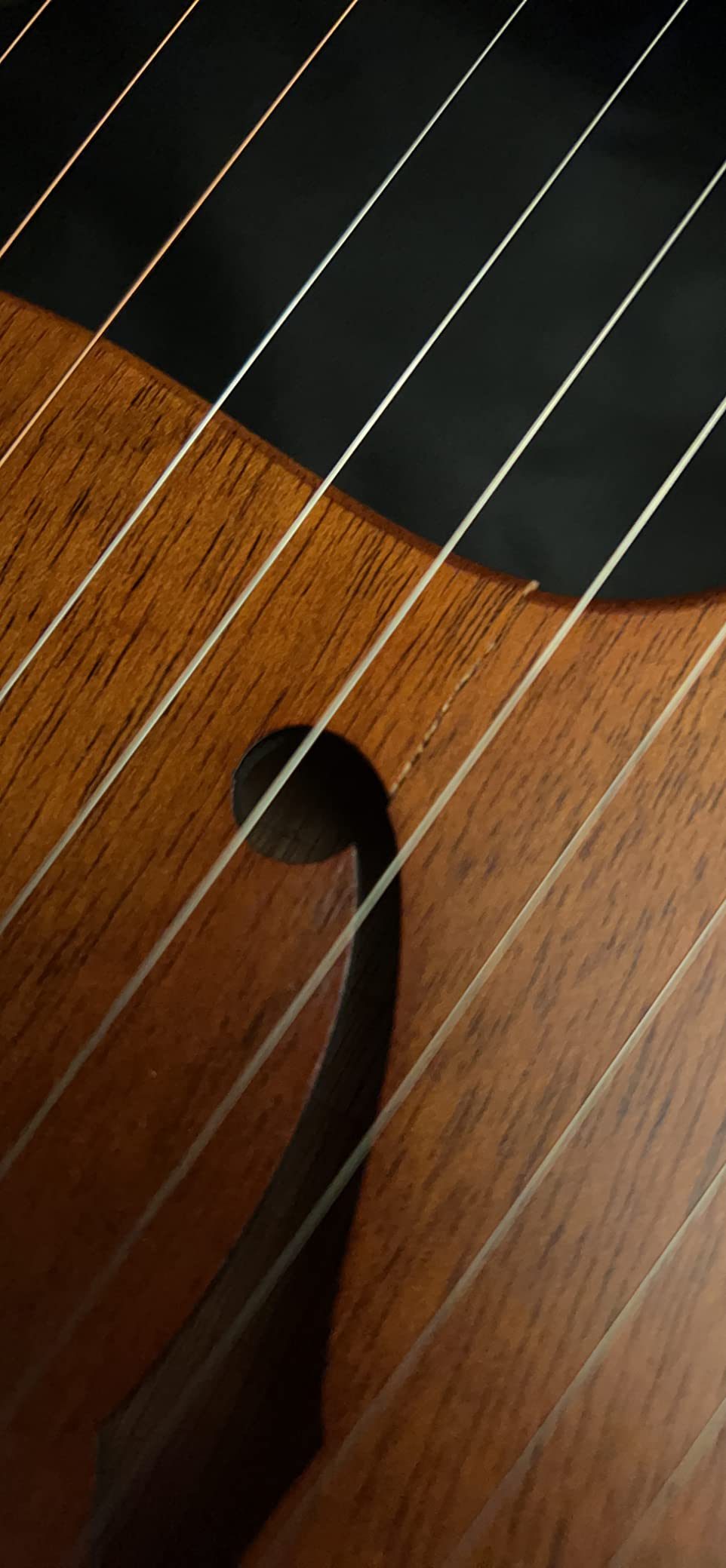 Lotkey Lyre Harp,16 Metal Strings Iron Saddle Mahogany Lyre Harp with Tunning Wrench, Extract Strings, Manual and Gig Bag customer photo 1