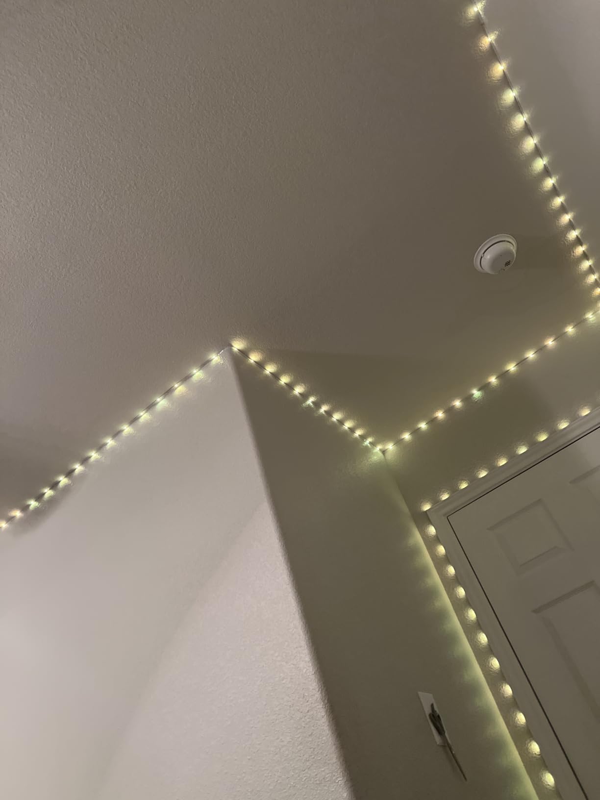 KSIPZE 100ft Led Strip Lights RGB Music Sync Color Changing Led Lights with Smart App Control Remote Led Lights for Bedroom Room Lighting Flexible Home Décor customer photo 1