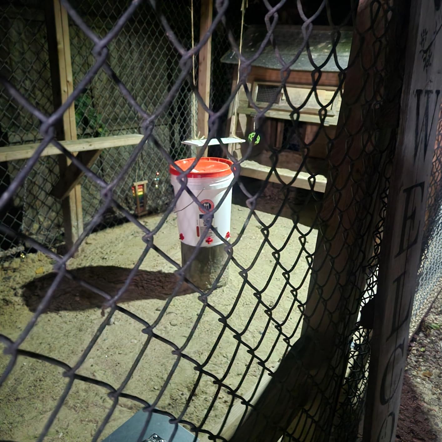 Horizontal Water Nipples Automatic Poultry Nipples for Chicken Waterer Kit Drinker with Drill Bit (10) customer photo 2