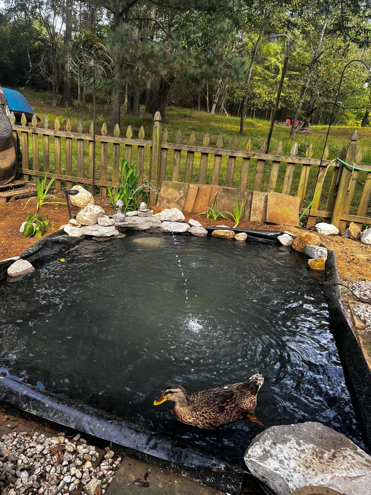 VIVOSUN 13.5 x 20 Feet Pond Liner for Koi Ponds, Aquaculture and Gardens customer photo 2