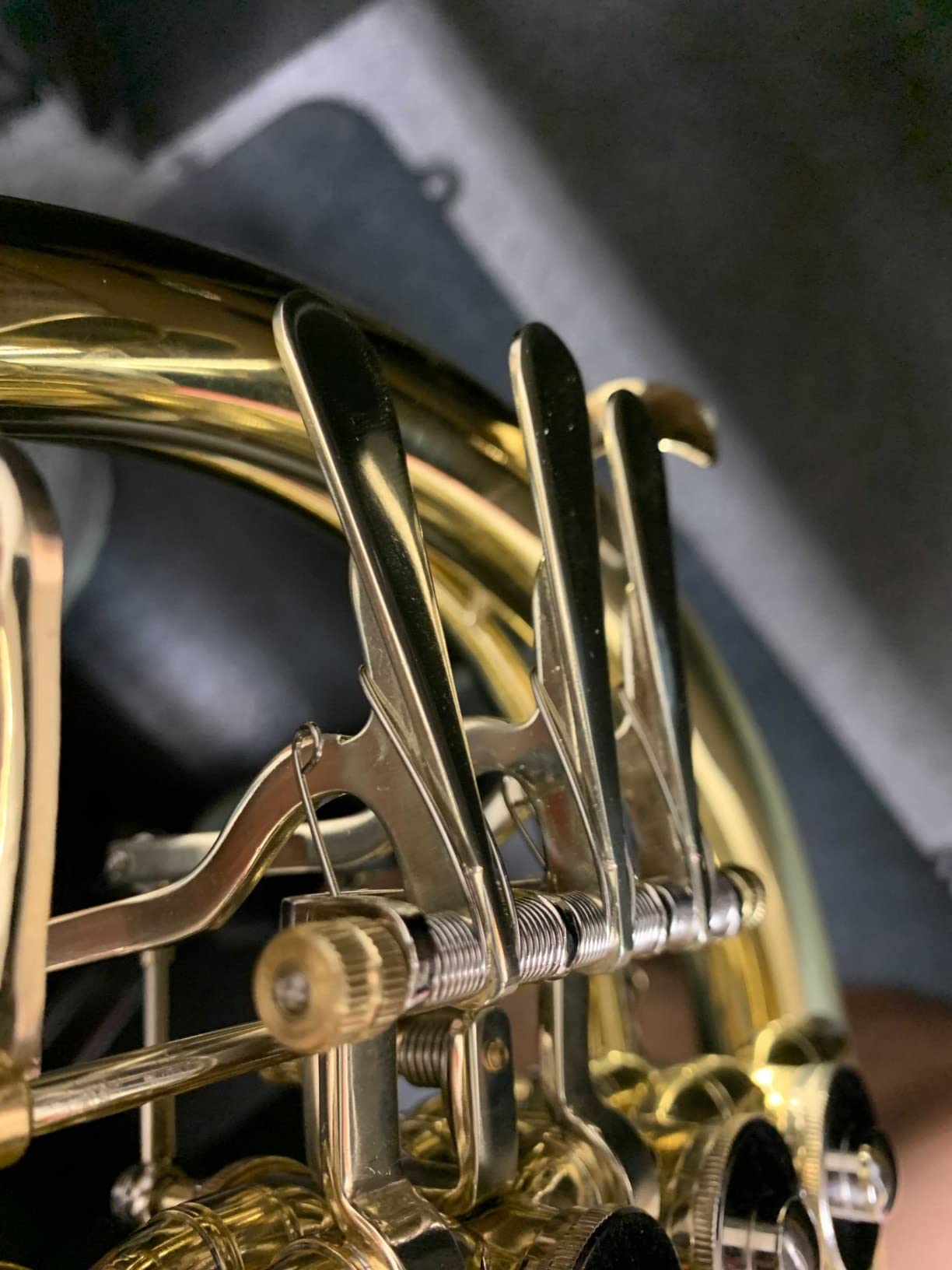 ROWELL Double French Horn, F/Bb 4 keys Intermediate French Horn,Gold Lacque F French Horn With Case, Mouthpiece Gloves and Polishing Cloth. customer photo 1