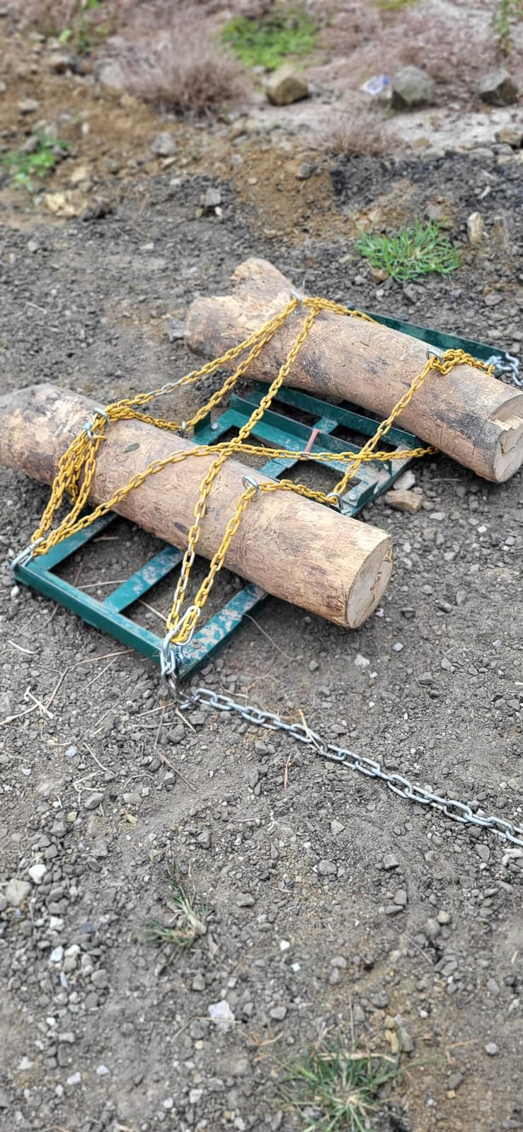 Drag Harrow 4 FT, Tow Behind Driveway Grader - Landzie customer photo 1