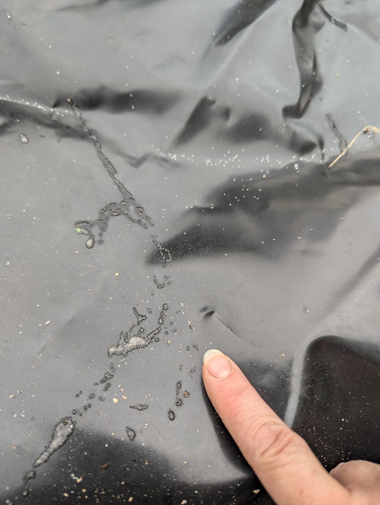 DGSL 20 Mil HDPE Pond Liner, 7 x 10 FT Flexible Water Garden Liner customer photo 1