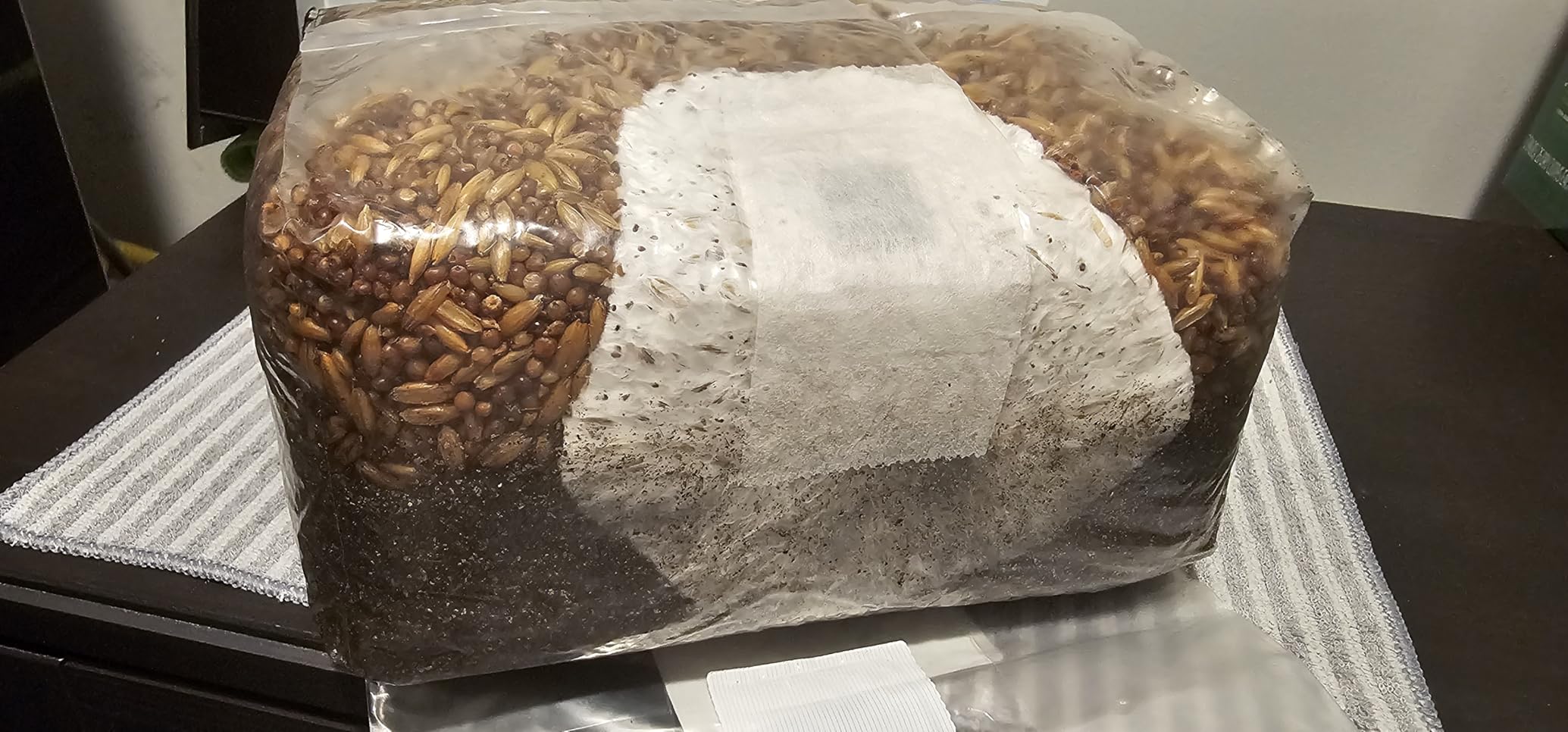 | The Magical 5lb All-in-One Mushroom Grow Bag | Mushroom Grow Kit | Harvest Your own Happiness | Discover the Magic of Growing Mushrooms - 5lb Grow Bag Mushroom Starter Kit customer photo 2