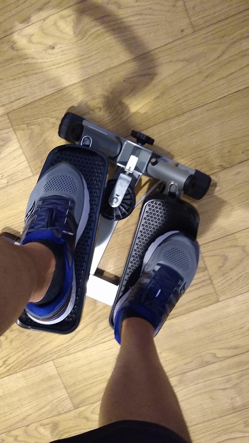 Sunny Health & Fitness Smart Power Stepper with Resistance Bands for Cardio customer photo 1