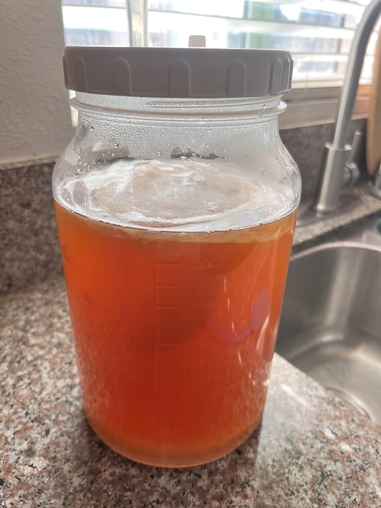 Qianfenie 1 Gallon Fermentation Jar with 3 Airlocks & 2 Screw Lids, 2 Pack customer photo 2