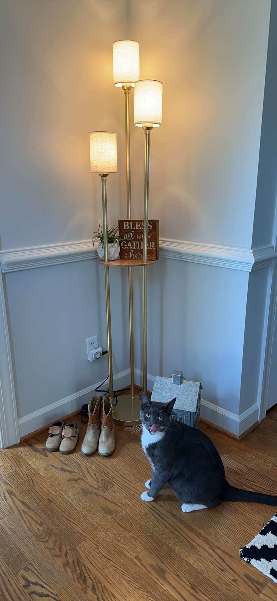 Floor Lamps for Living Room, 3-Lights Modern Floor Lamp with Shelves, Gold Standing Lamp with Fabric Shade and Foot Switch, Shelf Standing Lamps with Table, Tall Table Lamps for Bedroom Office customer photo 1