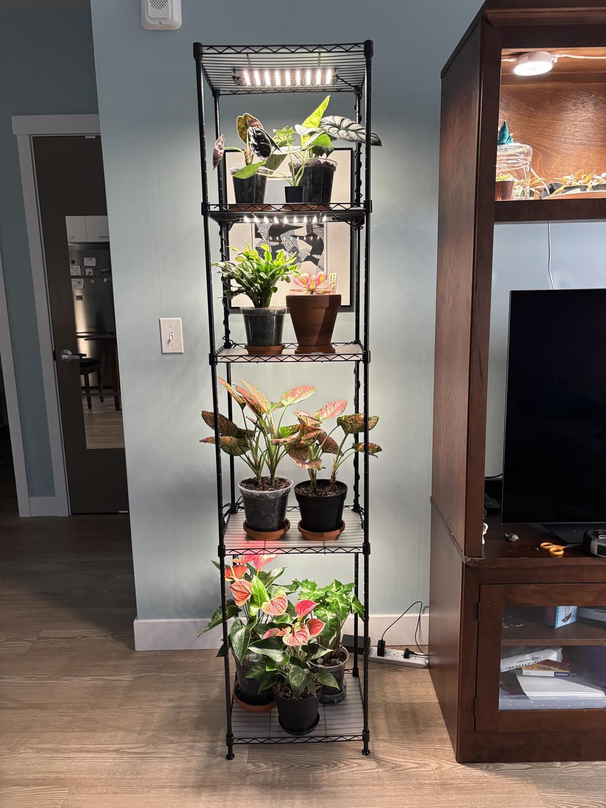 Barrina CX83 Plant Stand with Grow Lights, 6-Tier Shelf, 15.7x11.8x70.9IN customer photo 1