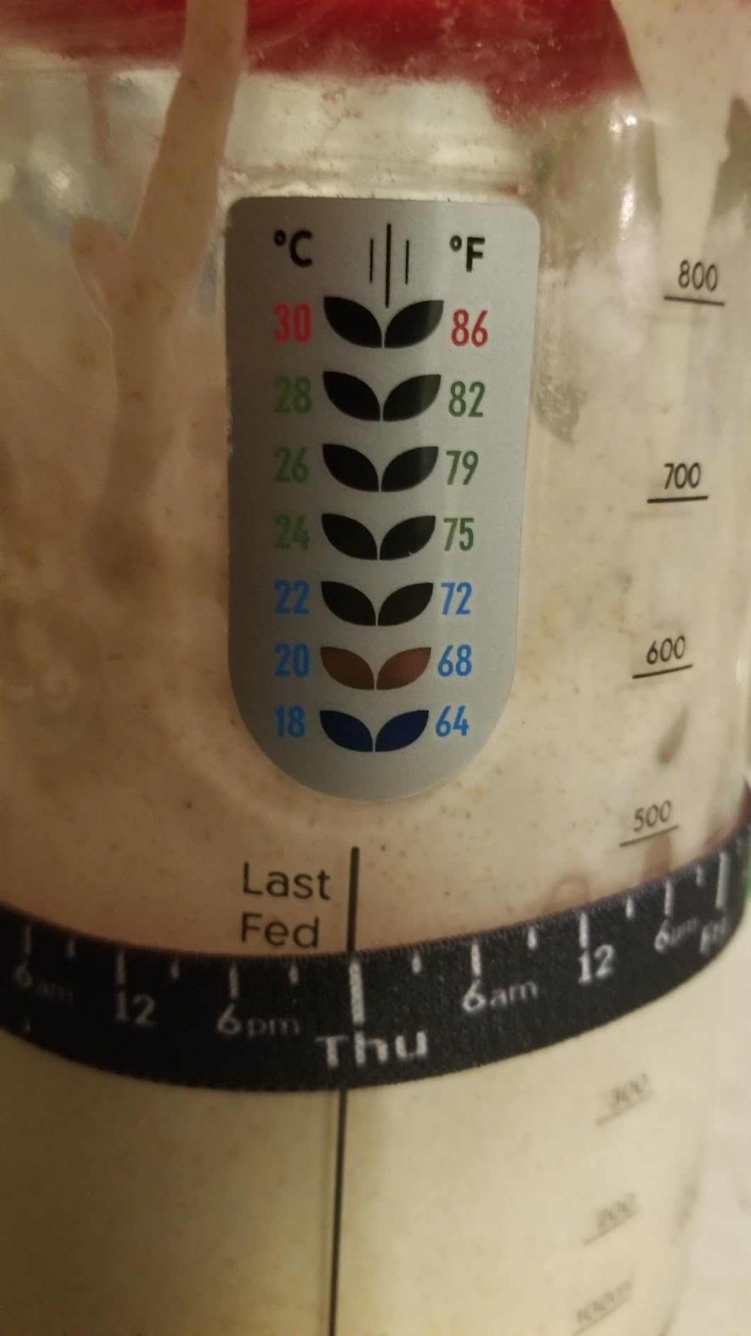 KNEADACE Pro Sourdough Bread Starter Kit - 34 oz Large Capacity Sourdough Starter Jar with 5 unique features for the perfect sour dough bread & sourdough starter kit - sourdough supplies (KA06) customer photo 1