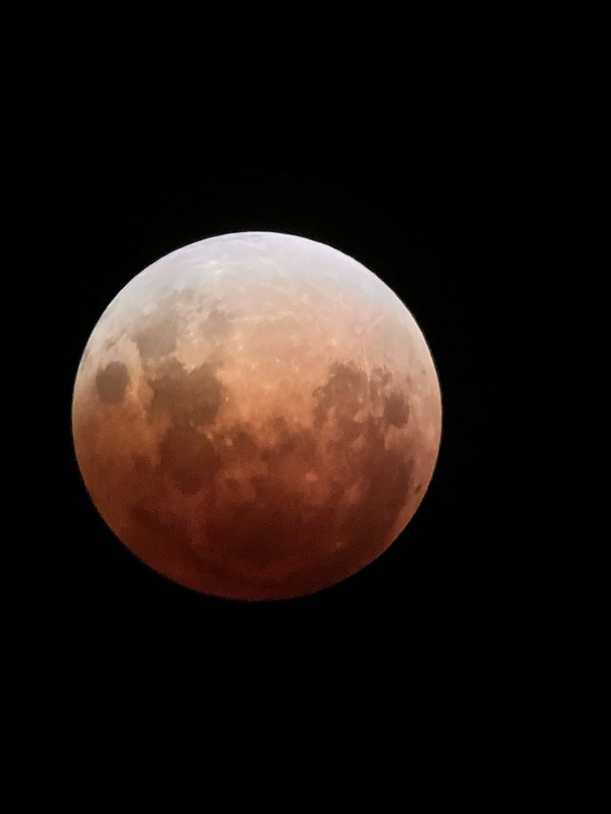 Celestron StarSense Explorer 114AZ App-Enabled Tabletop Dobsonian Telescope customer photo 2