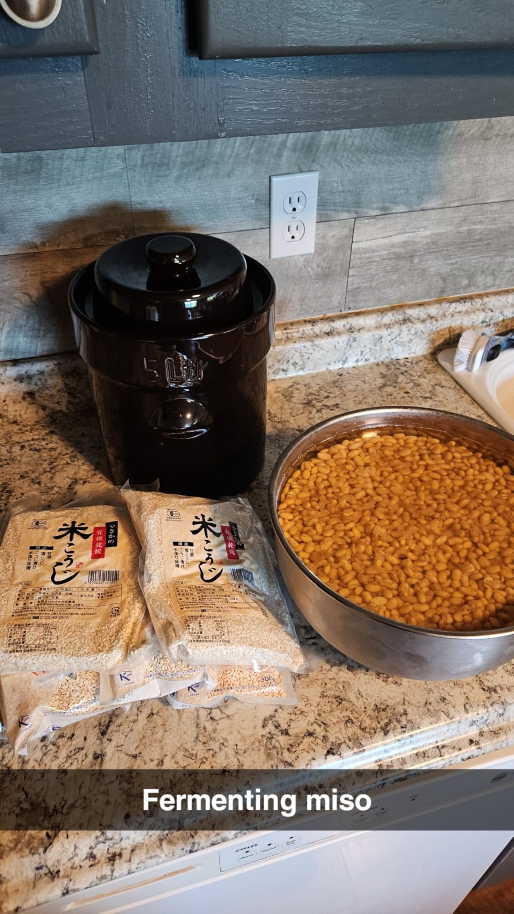 Dried Rice Koji – Made in Japan | For Shio Koji, Miso, Soy Sauce, Amazake | Vegan, Gluten-Free, No Additives (800g) customer photo 1
