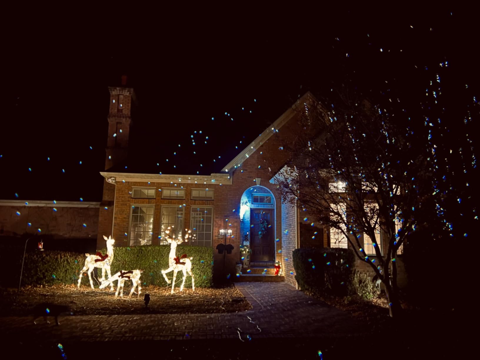 AIRIVO Outdoor Laser Lights Projector, 5 Color Motion Firefly Lights Star Show Projection Light, Christmas Projector Light with Remote Control for Holidays Halloween Decoration Home, Garden, Patio customer photo 1