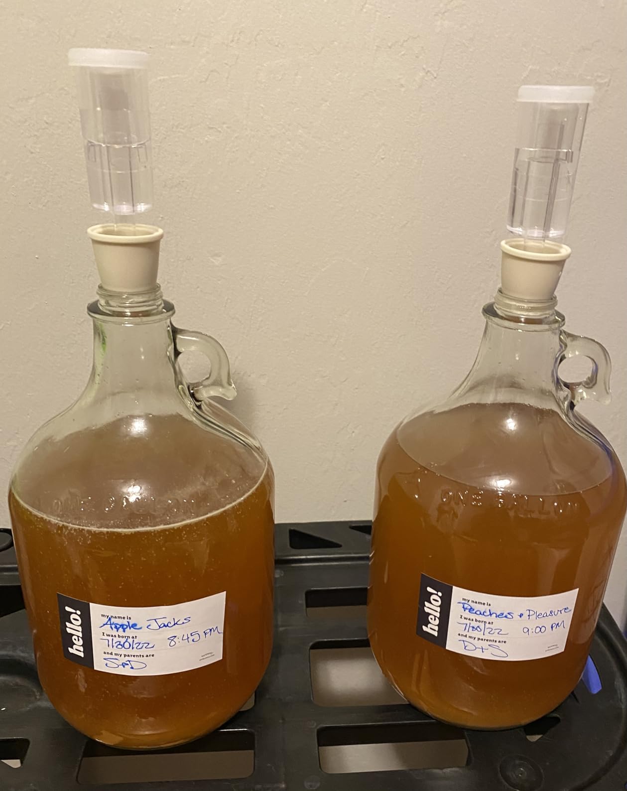 Brewsy Starter Kit for Cider Making - Custom Cider Kit - 4 Bottles in 9 Days - Use Any Juice to make Cider customer photo 2