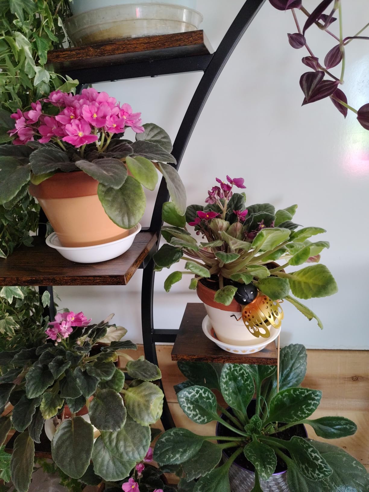 2 Pack Plant Stand Indoor with Grow Lights, 9 Tier Large Tall Plant Shelf customer photo 2
