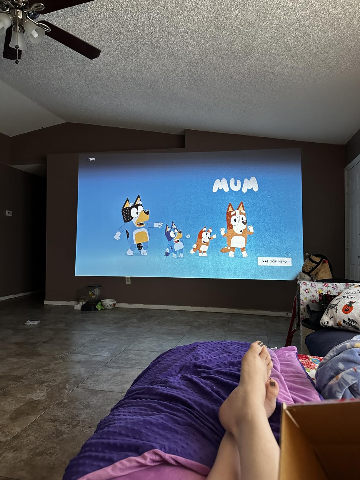 ViewSonic PA503HD 4000 Lumens 1080p Full HD DLP Projector customer photo 2