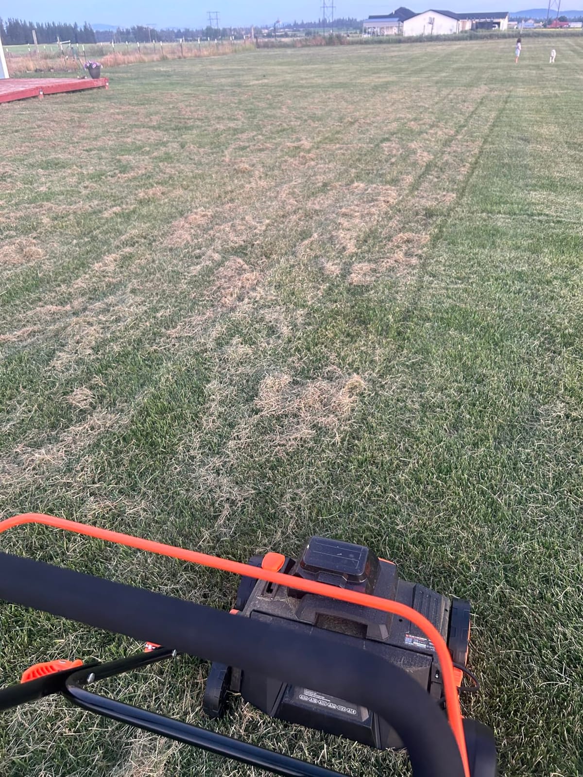 WEN 20V Max Cordless 15-Inch 2-in-1 Brushless Electric Dethatcher and Scarifier with Collection Bag, Two 4.0 Ah Batteries, and Dual-Port Charger (20716) customer photo 2