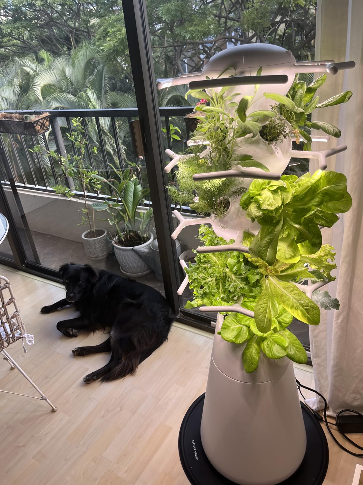 Lettuce Grow Farmstand Nook | 4ft 7in Vertical Hydroponic Garden Tower customer photo 1