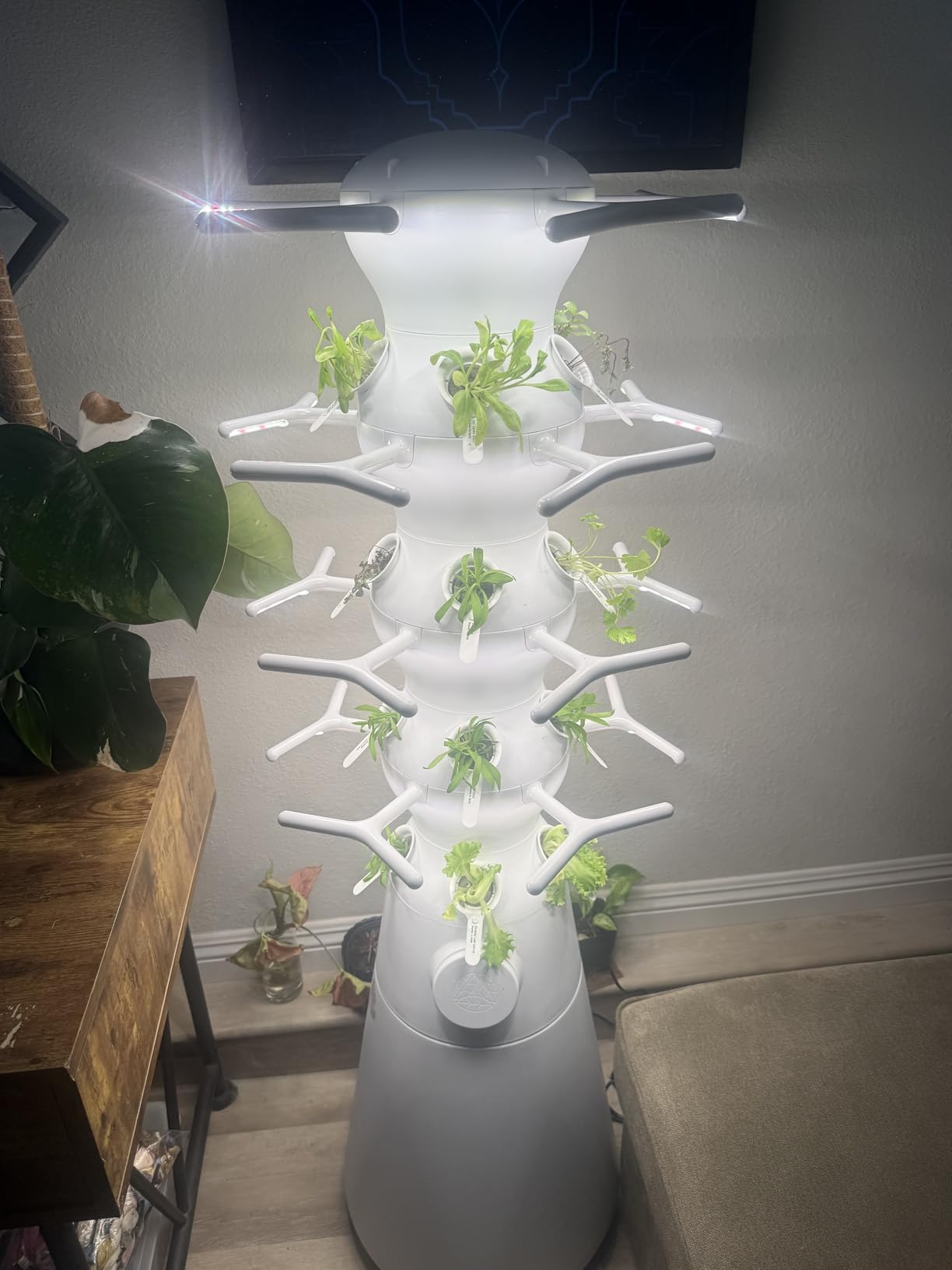 Lettuce Grow Farmstand Nook | 4ft 7in Vertical Hydroponic Garden Tower customer photo 2