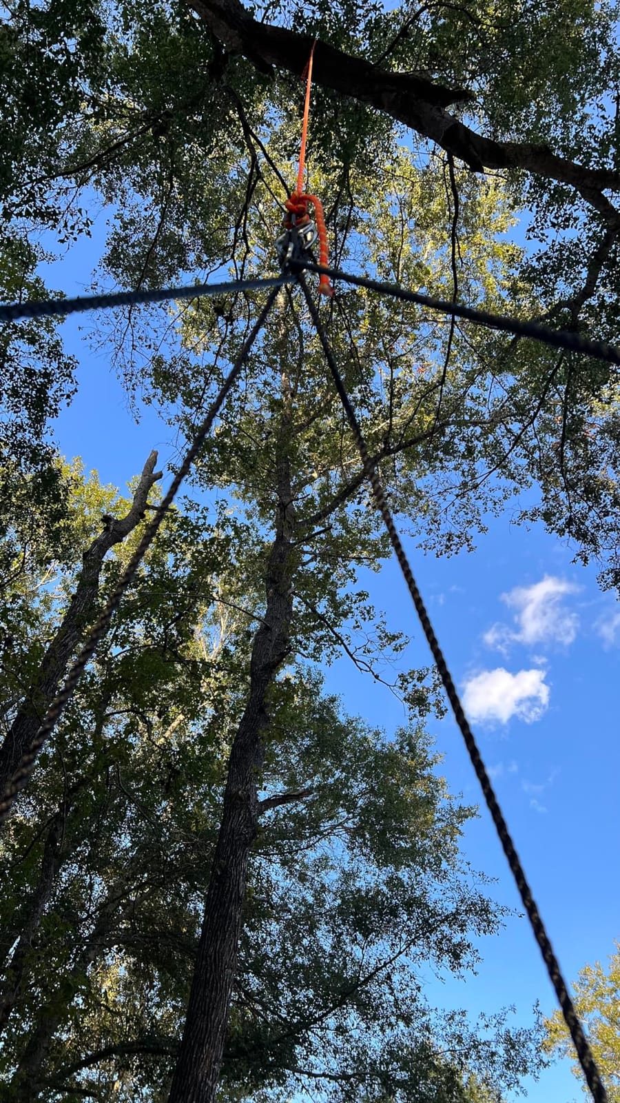 1/2 in x 200 ft Double Braid Polyester Arborist Rigging Rope, 48 Strands Heavy Duty Bull Rope for Tree Work, Climbing, Pulling, Logging, Swing, Orange customer photo 2