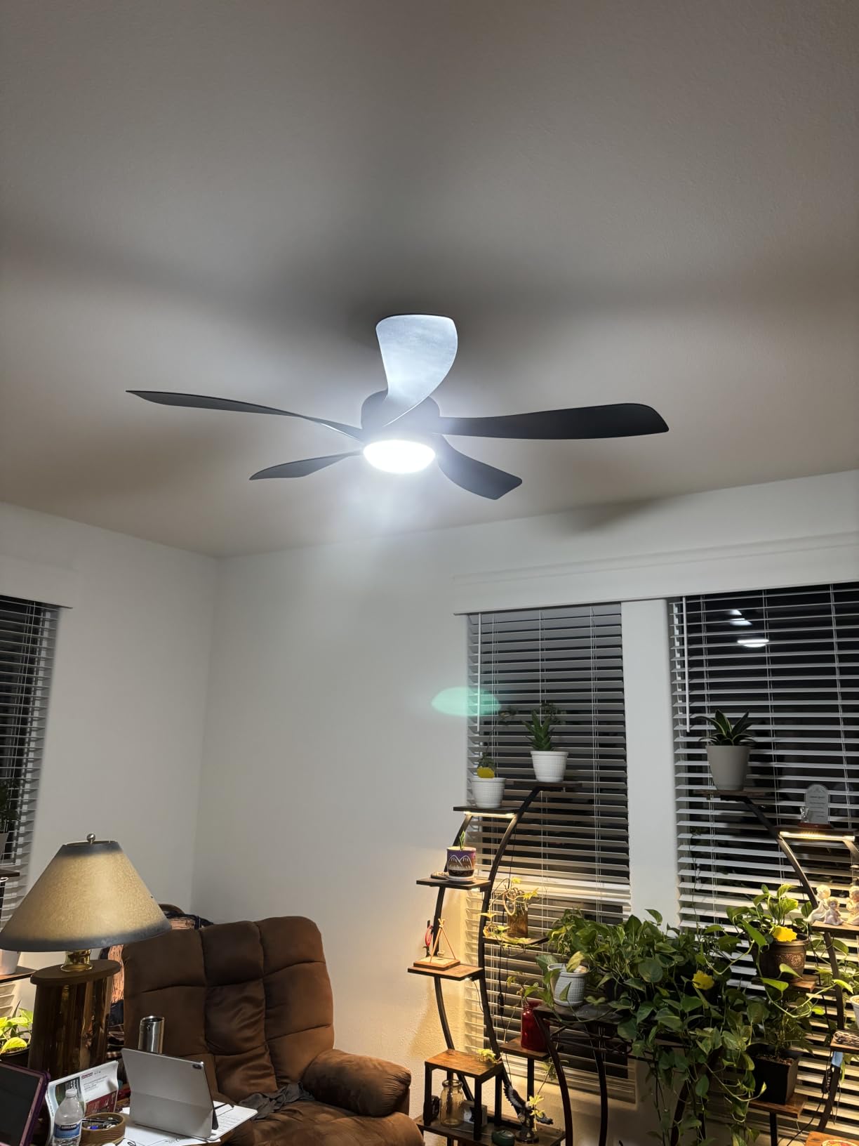 Sofucor 52 Inch Smart Ceiling Fan with Light, 5 ABS Blades, Brown | Alexa/Google Assistant/APP/Remote Control, Reversible DC Motor, Timer, 6 Speeds, 3CCT For Living Room Bedroom Patio Farmhouse customer photo 1