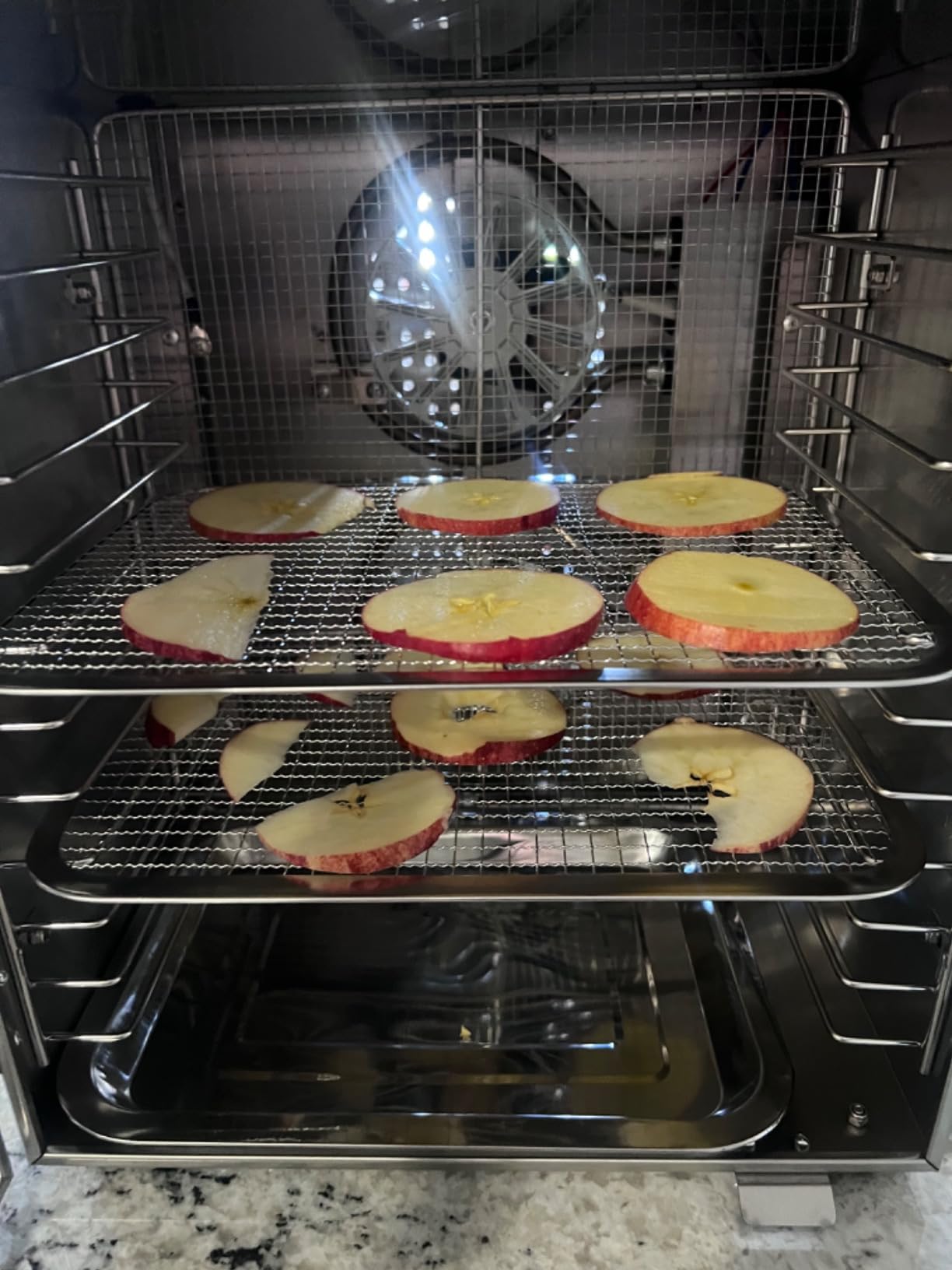 HOPERAN 12 Tray Food Dehydrator Machine for Jerky, Fruit, Herb & Dog Treats customer photo 2