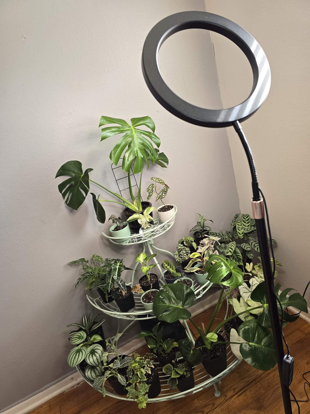 LBW Grow Light with Stand for Indoor Plants, Adjustable Height up to 68
