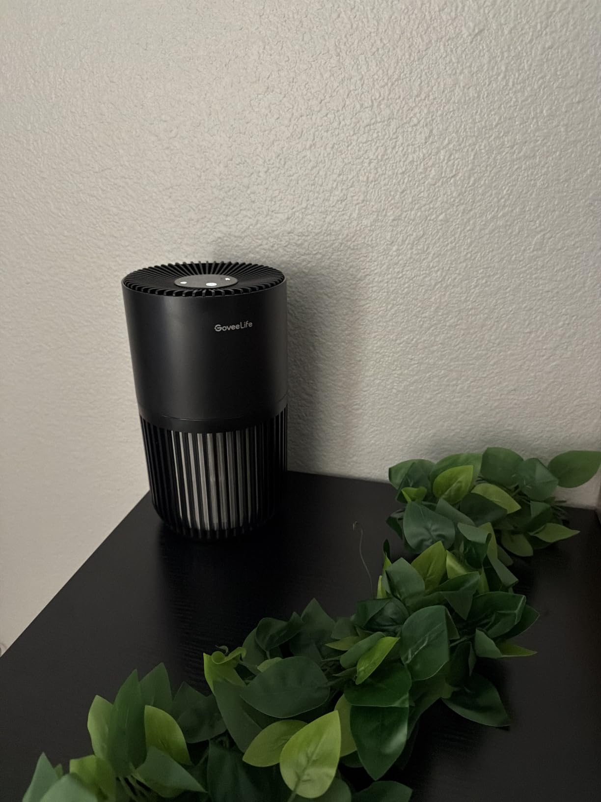 GoveeLife Smart Mini Air Purifier for Bedroom, with App & Alexa Control | HEPA Filter, Portable Air Cleaner with 3 Speeds, 2 Modes, Aroma for Pet Hair, Odors, Pollen, Home, Black customer photo 2