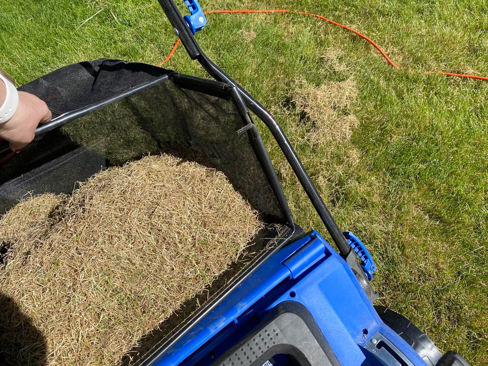 BILT HARD 16 Inch Dethatcher Scarifier Electric Powered, 15 Amp Copper Motor, 5-Position Depth Adjustment, 14.5 gal Thatch Bag, 2 in 1 Walk Behind Thatch Removing Machine for Lawn customer photo 2